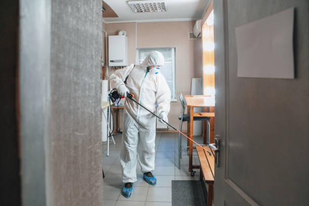 Best Mold Remediation for Vacation Homes  in Casa Blanca, AZ
