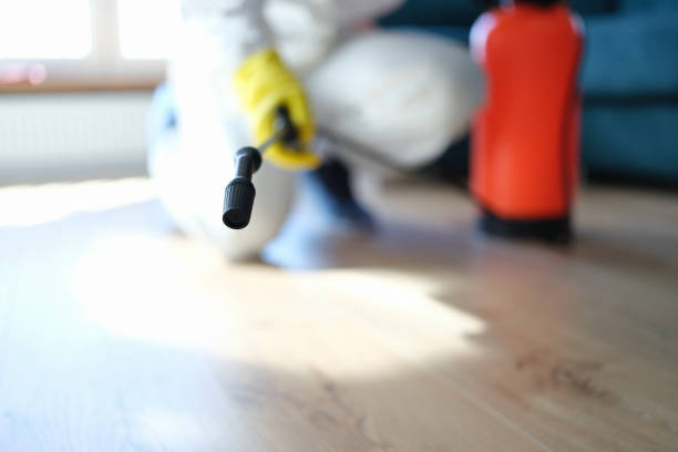 Best Residential Mold Inspection & Testing  in Casa Blanca, AZ