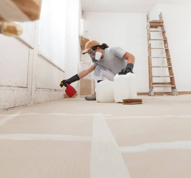 Best Real Estate Mold Inspection  in Casa Blanca, AZ
